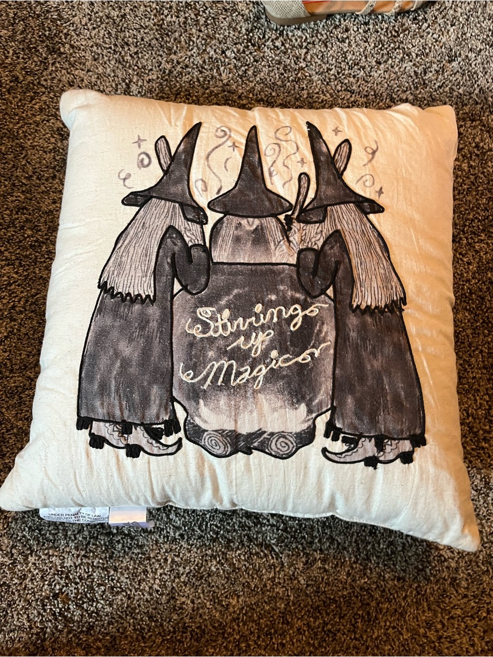 Stirring Up Magic pillow